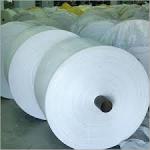 PP Fabric Rolls