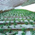 transpraret biodegradable PE plastic mulch film