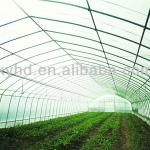 Plastic film for greenhouse