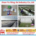 cover sheet/plastic/plastic products