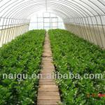 Agriculture film (best sales)-buy now