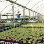 plastic film for greenhouse