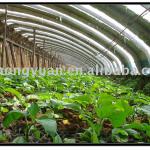 Multi-Functional Greenhouse Film