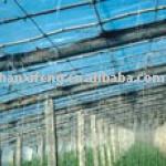 Polyethlene greenhouse film