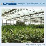 double layer plastic film greenhouse