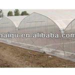 Plastic film roll(For agricultural )