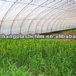 PE/LDPE/LLDPE agricultural film/greenhouse film/mulch film