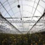 Transparent Agricultural Film