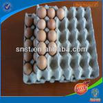 2013 hot sale whole sale paper pulp egg tray