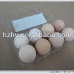 Transparent Egg Trays for Sale
