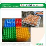 plastic egg trays for sale