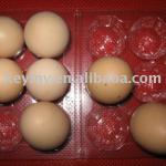 PVC eggs blister tray