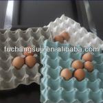Chicken Eggs Packing Tray