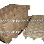 Made in China Egg Tray Moulds