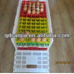 high quality colored plastic protect egg-cartons egg bin egg punnet plastic incubator transportation egg tureing tray
