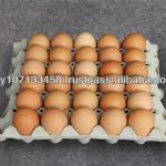 Paper Pulp Moulding Egg Tray with Holes