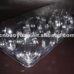 Clear Plastic 10 Egg Tray