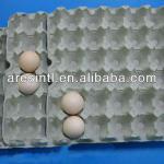 pulp egg tray