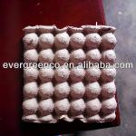 paper pulp egg tray of 30 cavities