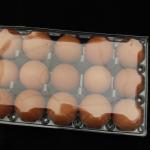 ecological green Disposable container blister packaging for egg