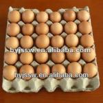 Pulp Moulding Paper Egg Tray for 30 eggs