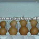 Quality Pulp Moulded egg trays and ContainersEnter a Name for your product here