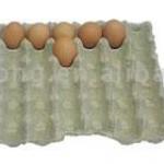 Pulp Molded Egg Trays