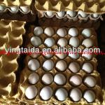 hot seller 30 cavities paper egg tray