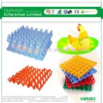 chicken egg trays