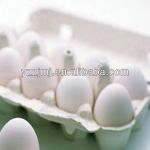 Egg Tray(4/6/30pcs)