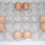 CLEAR EGG TRAY