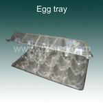 transparent plastic egg tray