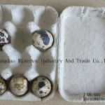 Paper pulp quail egg tray box