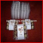 Wholesale plastic quail egg tray,chicken egg tray seller