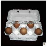 egg tray paper pulp tray 10 eggs holes white color