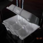 Disposable Food Packaging Egg Tray (S)