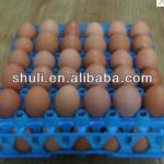 colorful egg tray /plastic egg tray/ duck tray 0086-18-5838059105