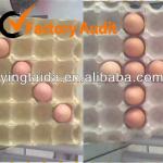 pulp moulding paper egg tray for 30 eggs