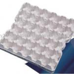 Egg Pulp Tray 30pcs (AA Size), egg tray, paper pulp, disposable tray, paper egg tray