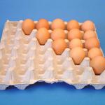 Egg Tray