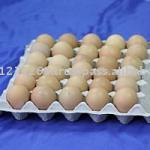 30 eggs paper tray