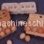 Egg Carton Machine Egg Tray Machine