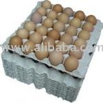 Egg tray, egg box