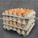 Pulp Egg Tray for Packaging AA Size