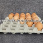 Disposable Egg Carton Tray