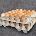 Pulp Stackable Egg Tray AA Size