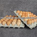 Disposable Paper Pulp 30 Eggs Egg Tray Carton