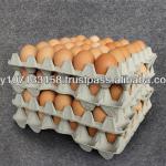 Disposable Paper Pulp Egg Cartons for Sale