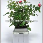 metal window boxes for plants