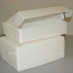 Corrugated plastic shoe box